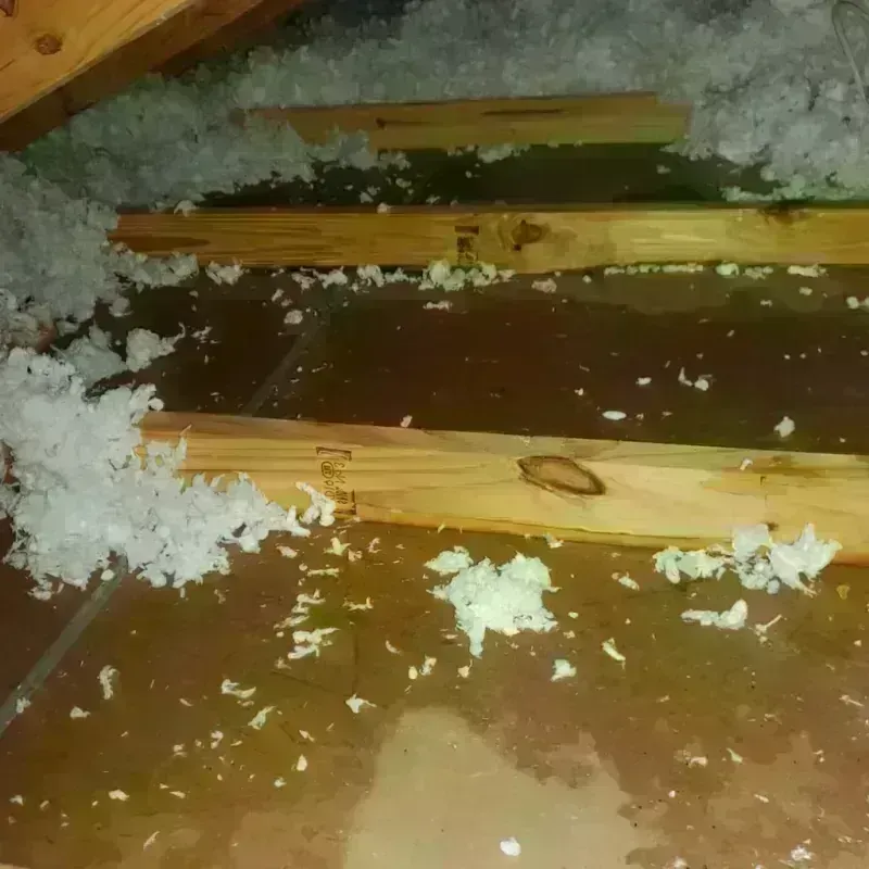 Attic Water Damage in Broome County, NY